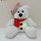 Navidad LED que enciende el oso de la felpa con el juguete de la felpa de los niños del oso de Santa Hat Kids Gift LED
