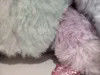 Grabación y repetición de lazos de color de peto de color vivo y peluche de juguete que puede hablar