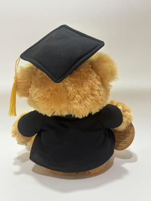Graduación oso peluche muñeco de peluche muñeco de consuelo bebé