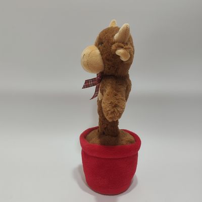 Vaca de las montañas cantando y bailando