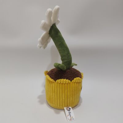 Grabación y rodamiento de Daisy Plush Toy