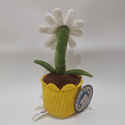 Grabación y rodamiento de Daisy Plush Toy