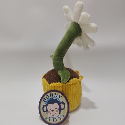 Grabación y rodamiento de Daisy Plush Toy