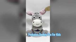 burro peekaboo